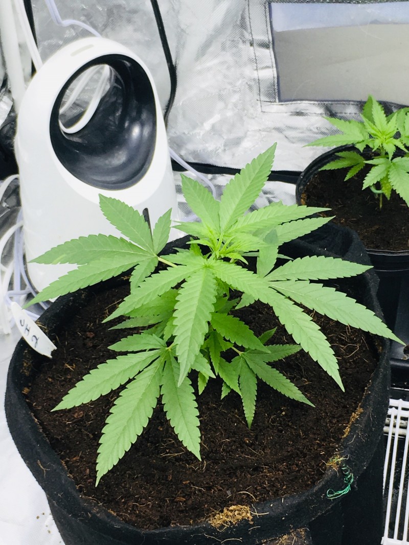 8B95641A-66C1-4F94-9D4C-F9A65790E418