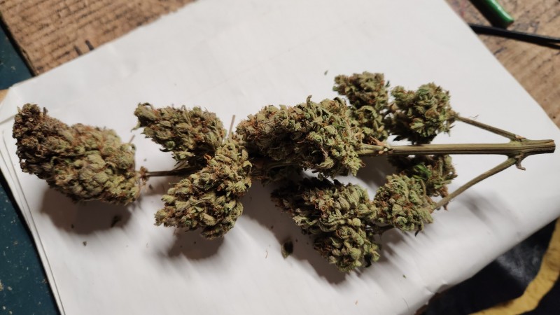 16870041757413497806669965608749