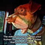 746e2d84d06b75943a5faf4527164c89a22310e6_2_500x500