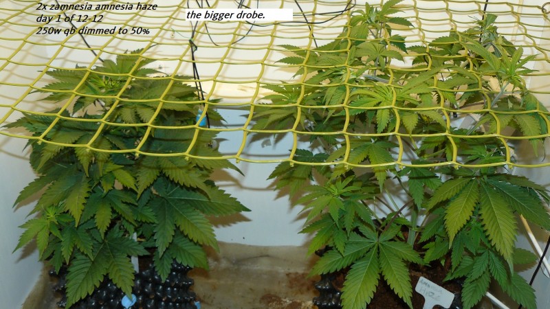 drobes day 1 ah 18 06 23 002