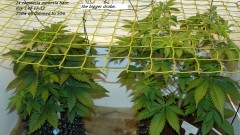 drobes day 1 ah 18 06 23 002