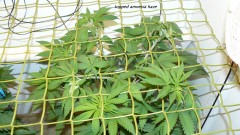 drobes day 1 ah 18 06 23 004