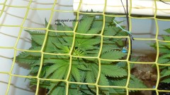 drobes day 1 ah 18 06 23 006