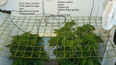 drobes day 1 ah 18 06 23 008