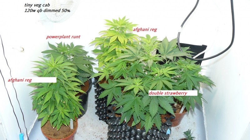 drobes day 1 ah 18 06 23 011