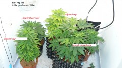 drobes day 1 ah 18 06 23 011