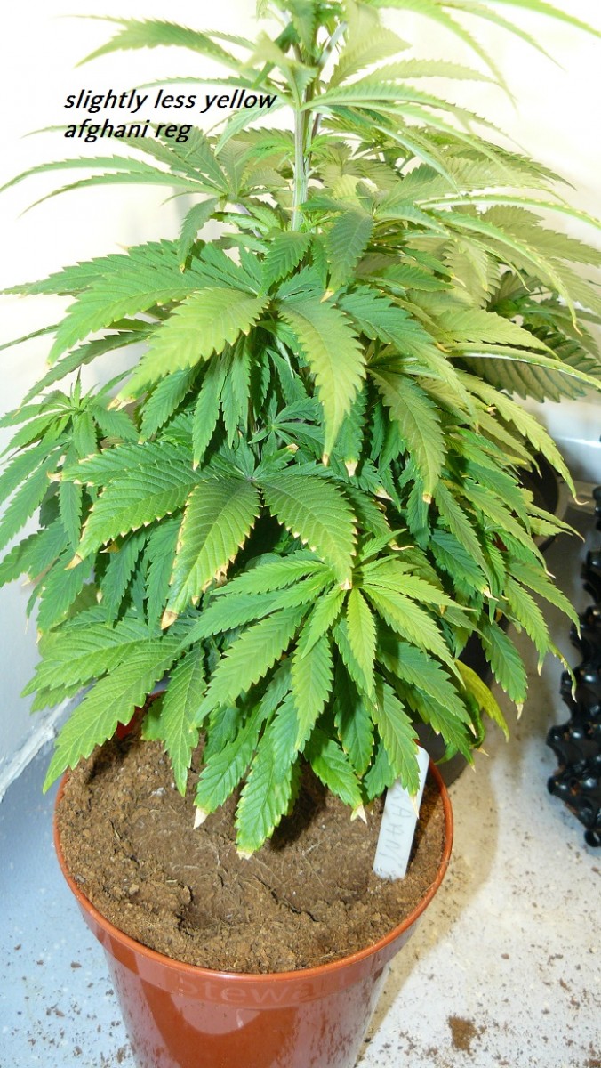 drobes day 1 ah 18 06 23 014