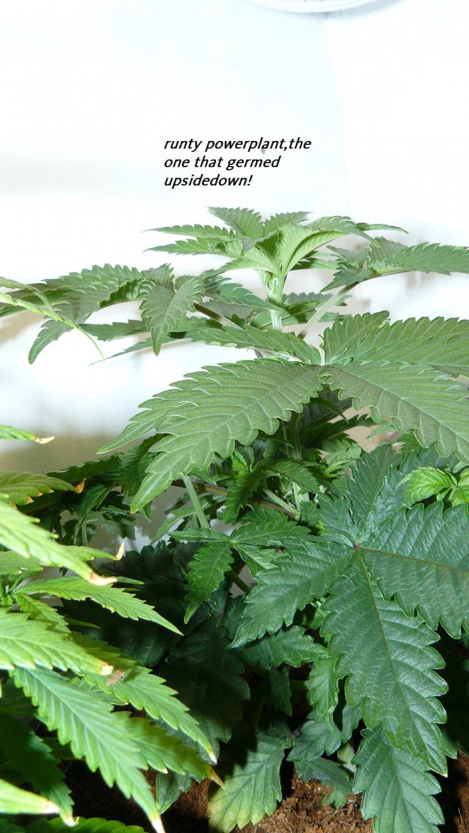 drobes day 1 ah 18 06 23 015