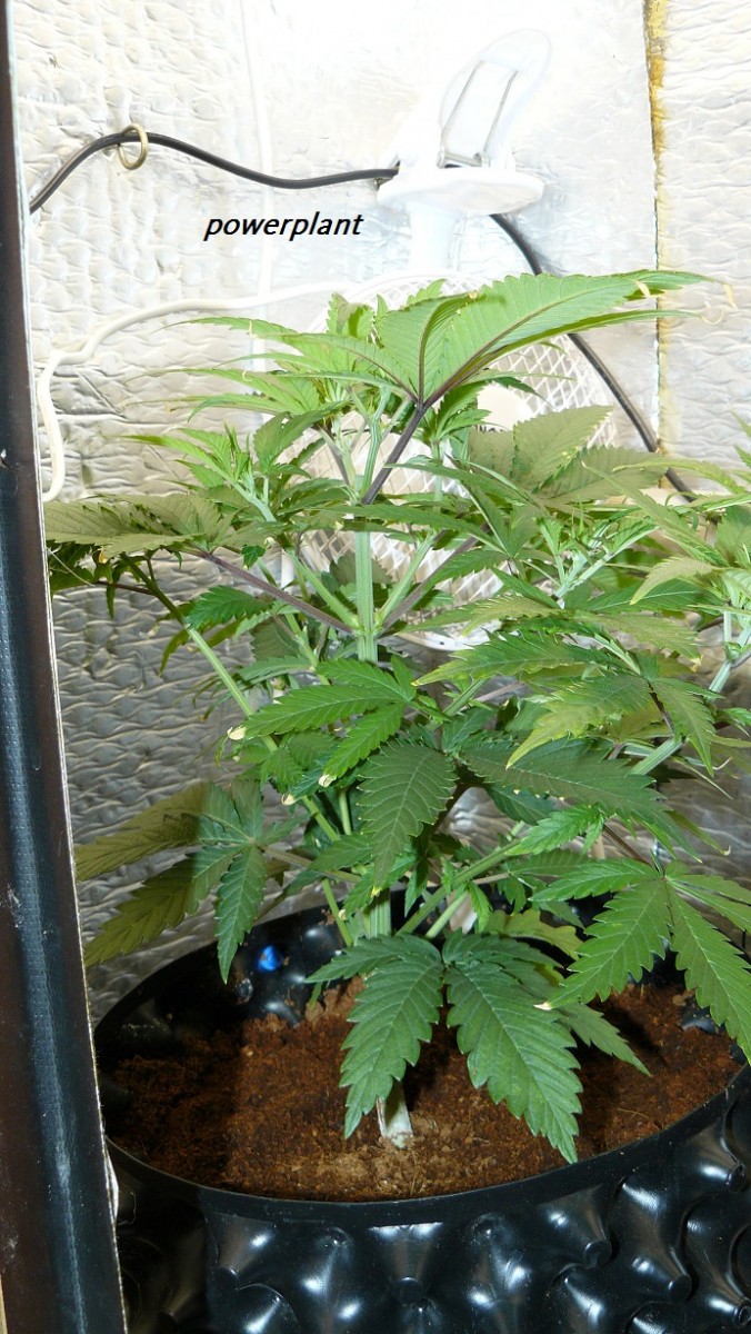 drobes day 1 ah 18 06 23 020