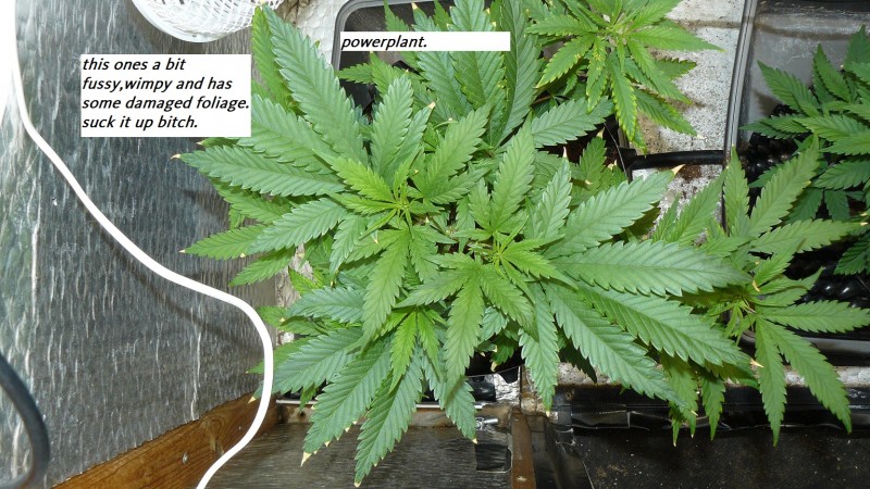 drobes day 1 ah 18 06 23 022