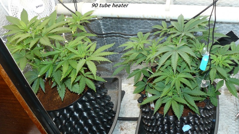 drobes day 1 ah 18 06 23 023