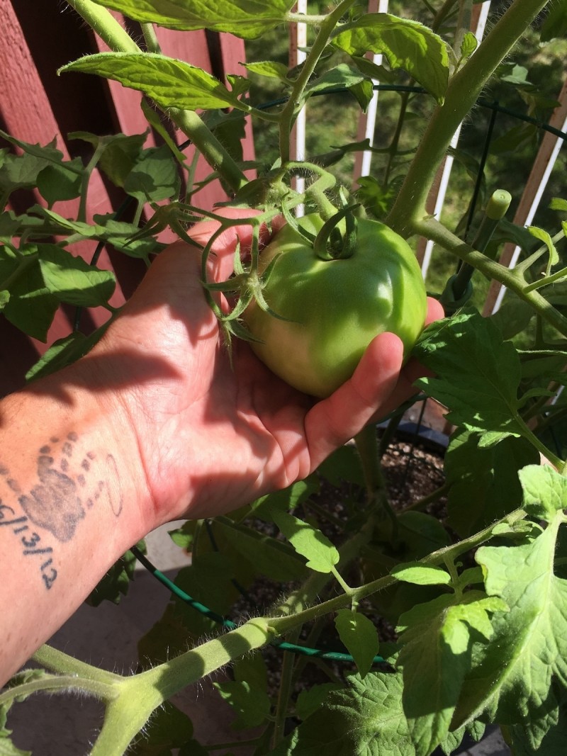 C5CFD139-962E-44C4-83D4-859ECD468502