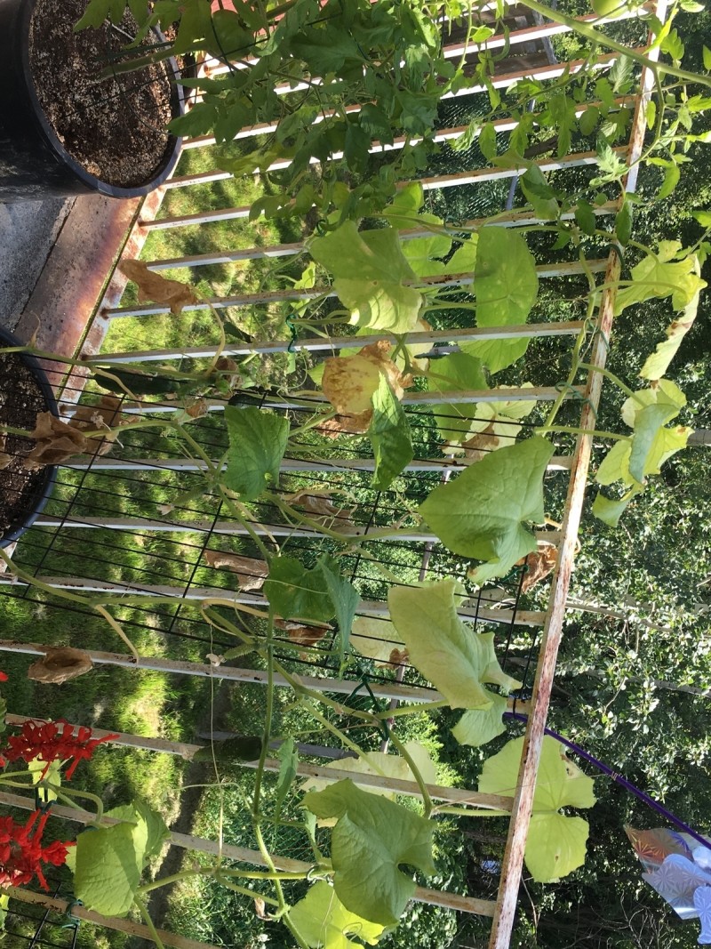 BF935C73-ED41-4E4F-94BD-C41E0533A2AC