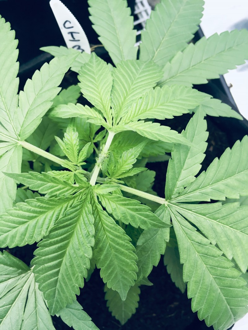 166F0C24-F159-41DF-8D1C-54A61EEA83BA