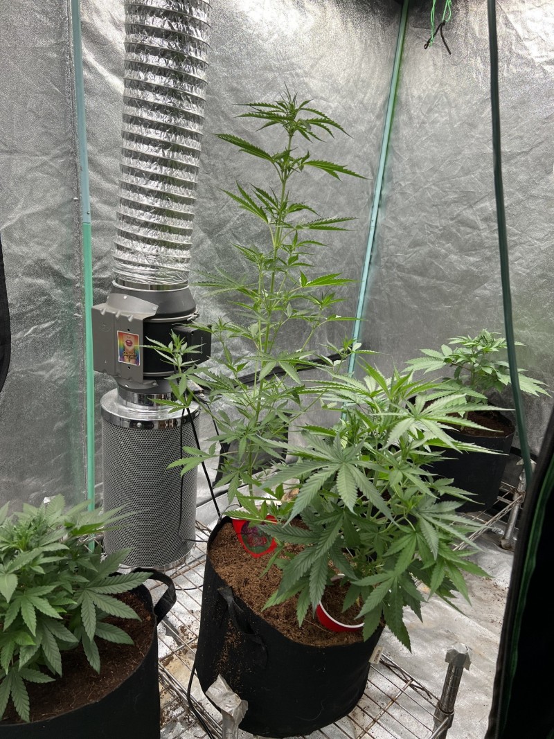 7F9C0F4C-9D64-4344-BEE1-CEEBE4AE9FCF