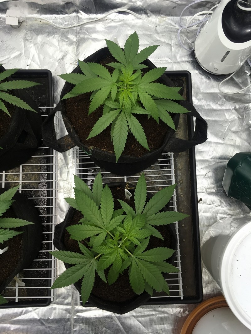 16F9ADAF-9FE1-4F1A-8C25-F378294C4C28