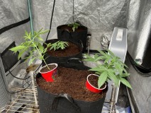 C457F17F-5FC3-4135-9084-1F71399E8141