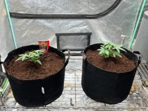 33D4CAE0-964A-42AB-80AB-5916E489D83F