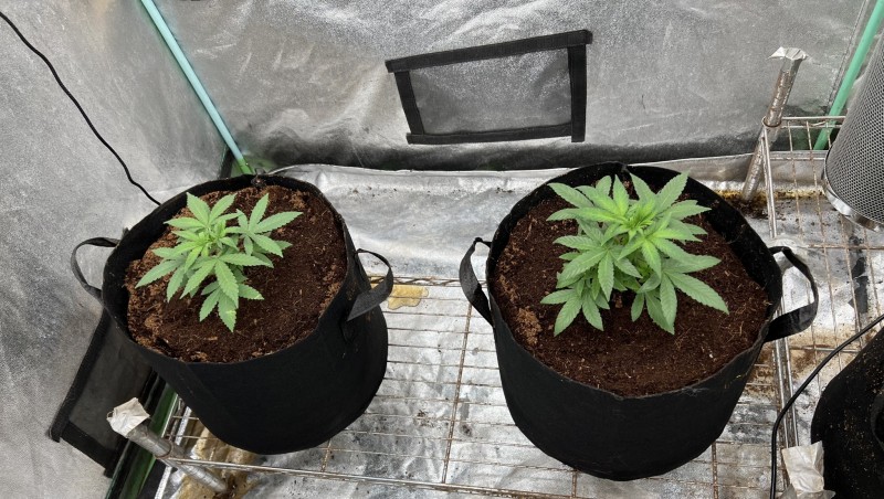 24BB6E45-90F2-4FE9-930D-BC1616A96EC0