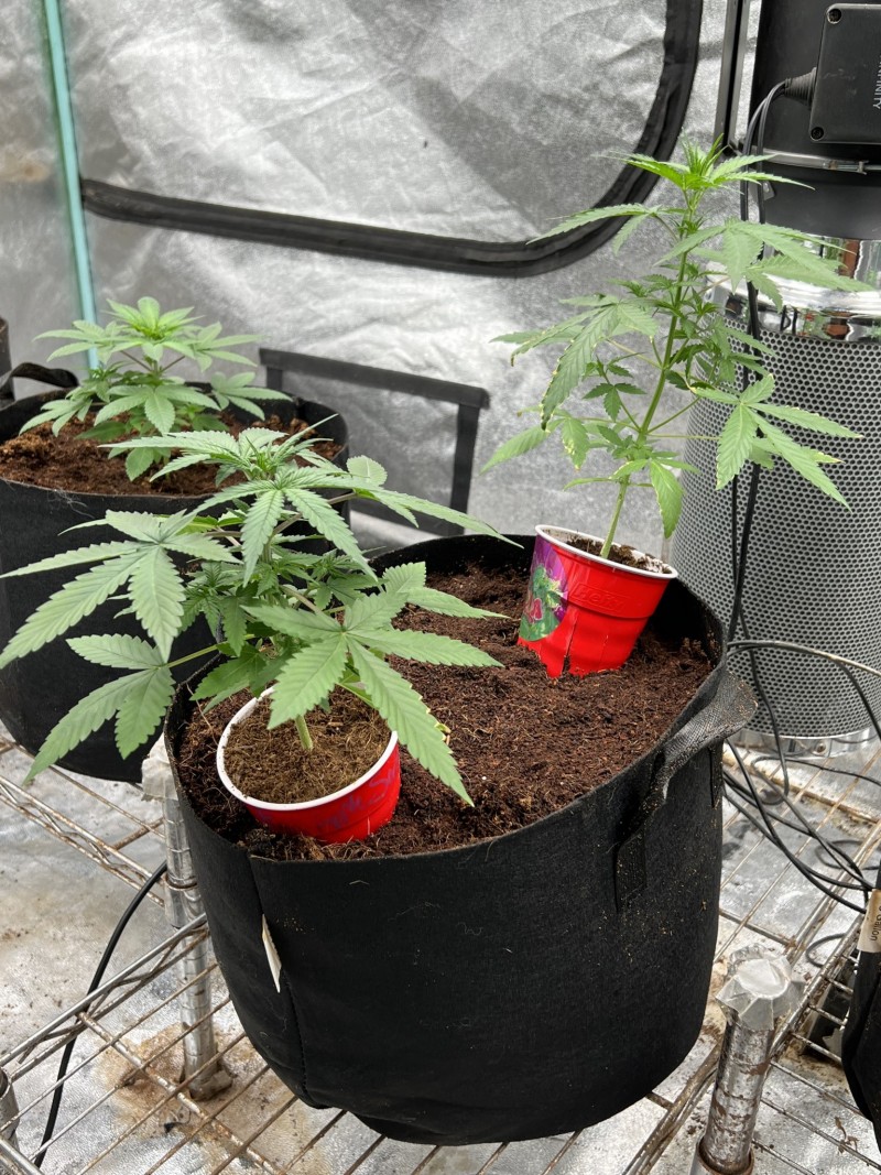 A2E68D4C-7F8F-40D1-BC90-C52596539A65