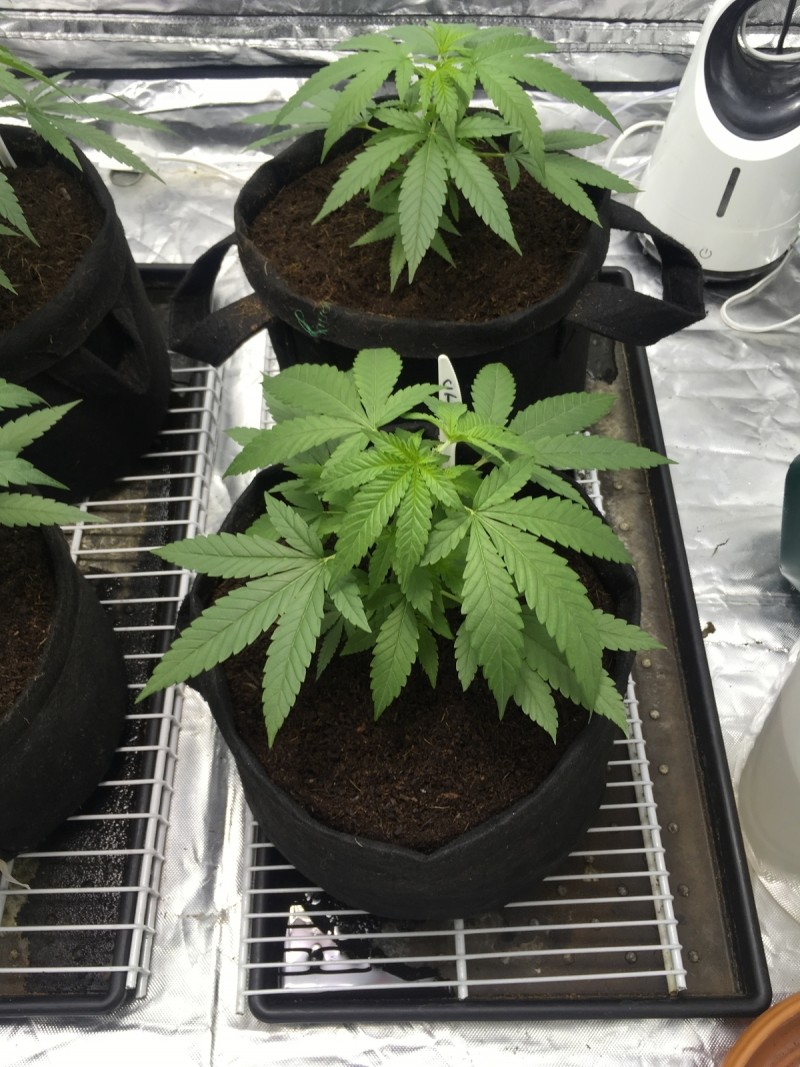 0D5ACFE9-C2B4-42CB-B05B-FAB5EB56F3AE