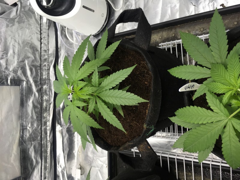 1915FBA9-F305-4547-84D4-5664E6FBA9F4