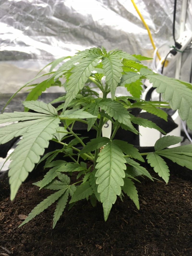 48A2C4EC-BA42-4B56-AA5F-36D8D8864AE9