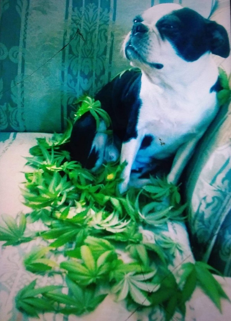 0FF4E315-80CB-4698-A091-1470C1C92D84