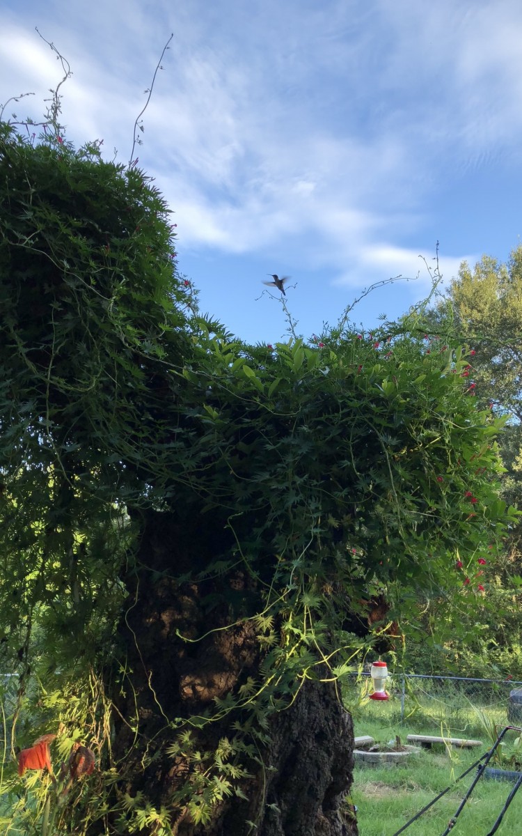 475C5F2E-CCC6-4108-B497-44BE227974D2