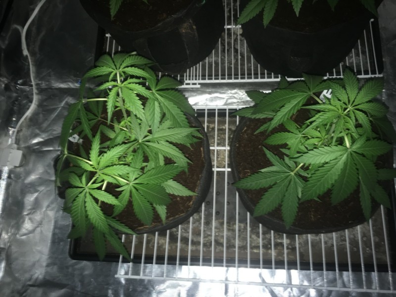 0FB545AE-1BF9-4156-A805-F4C759ED8CA7