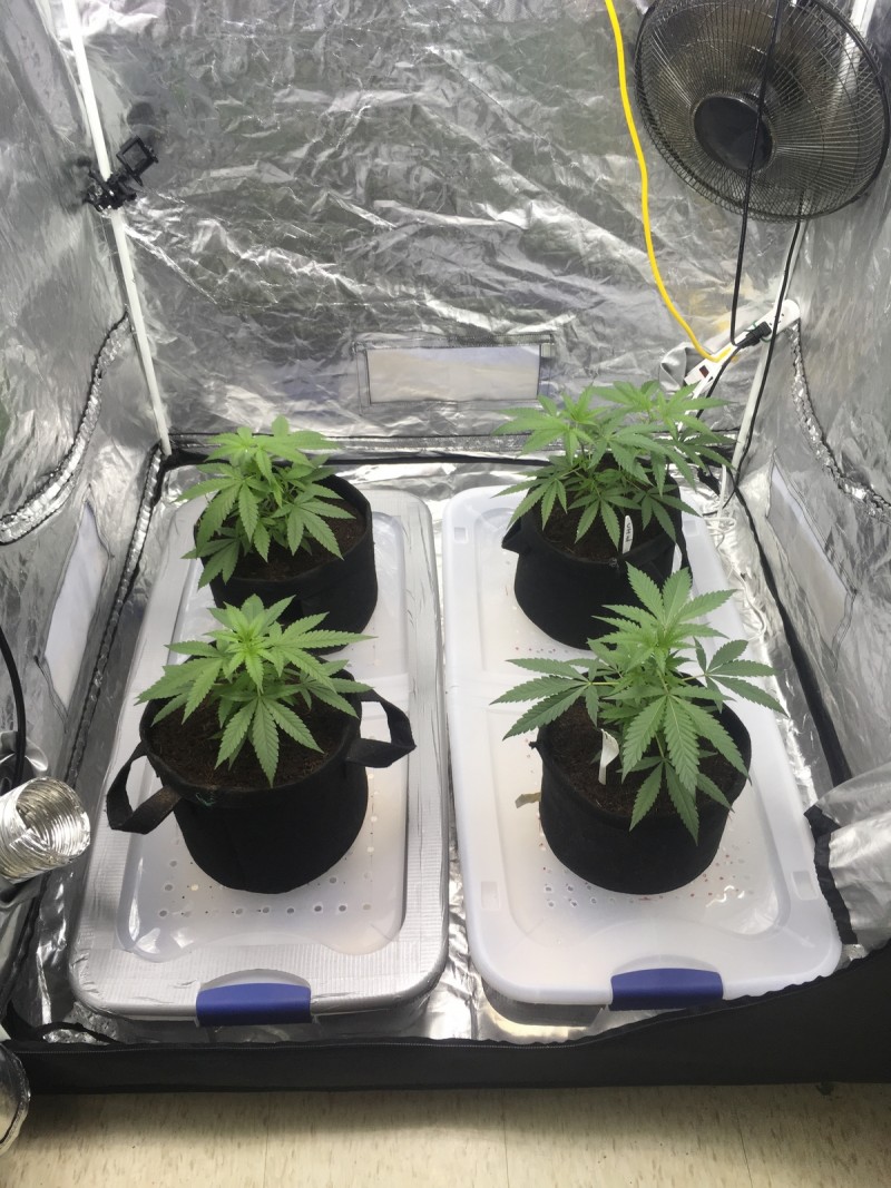 5E48A1E2-40EF-4686-A7D4-A7F0E8079DDE