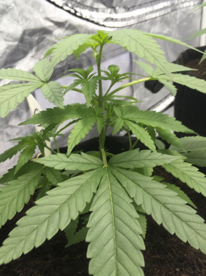 96CEB7C2-4B63-455C-8E9B-3986C3B0C5FB