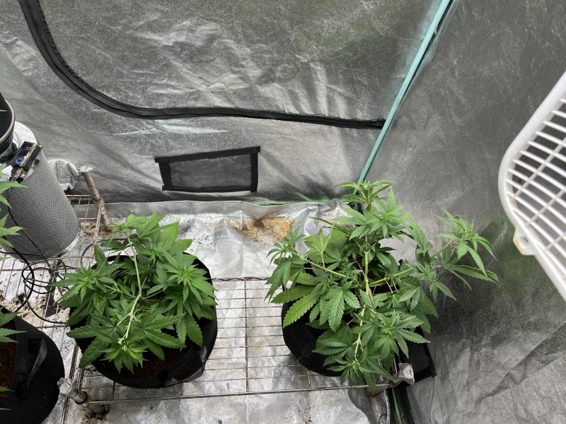 9B24707A-C307-4D6D-8CA4-454E25764D67