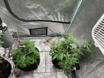 9B24707A-C307-4D6D-8CA4-454E25764D67