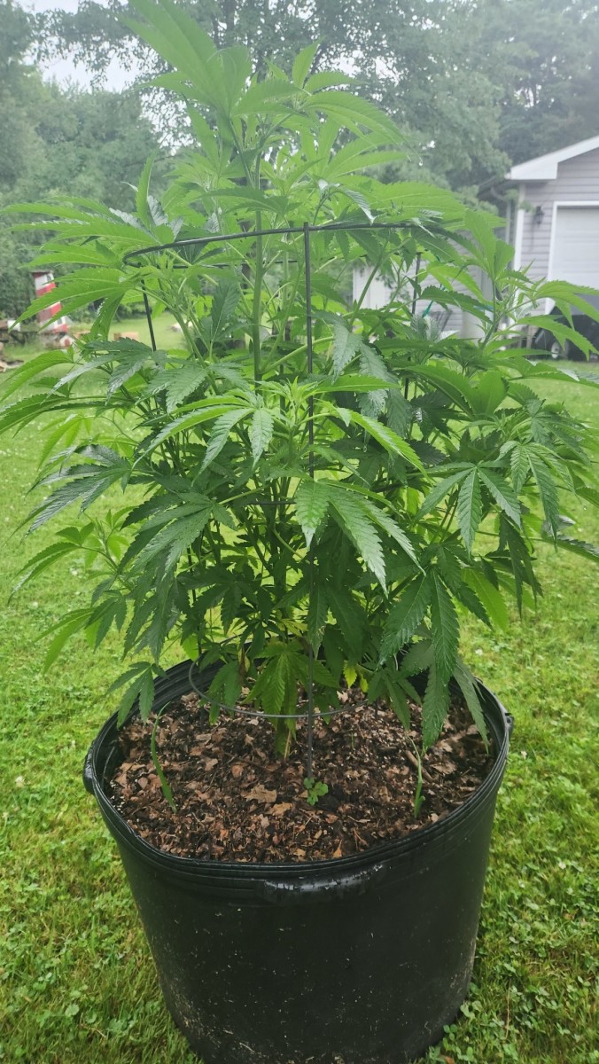 16878220582991049656320686278861