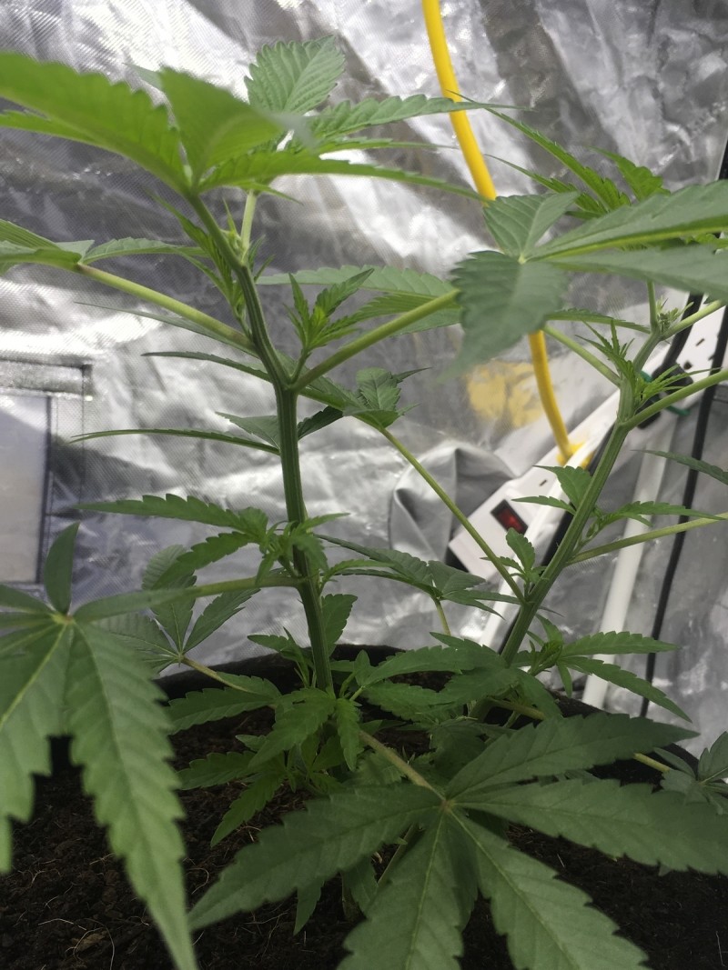 B084998F-C0D1-462D-B2D3-9768EFA04214