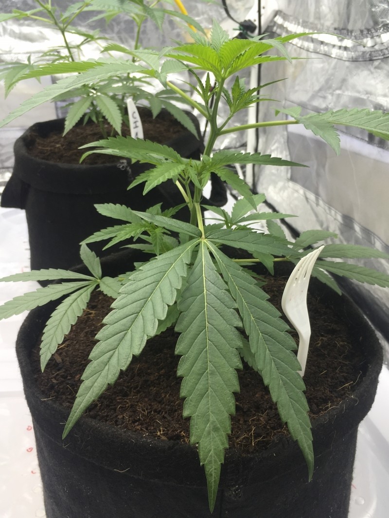 20DF0716-EF29-48E9-8F62-F2DC8097DF7F