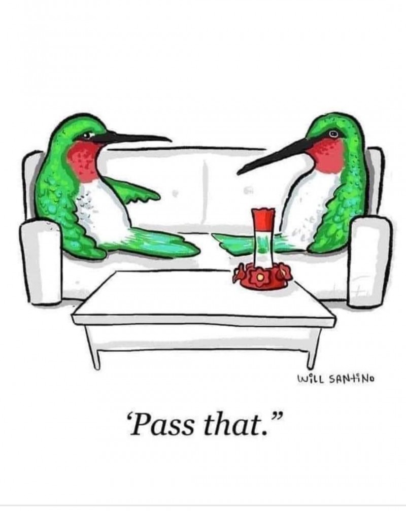 Screenshot_20230604_211106_Facebook