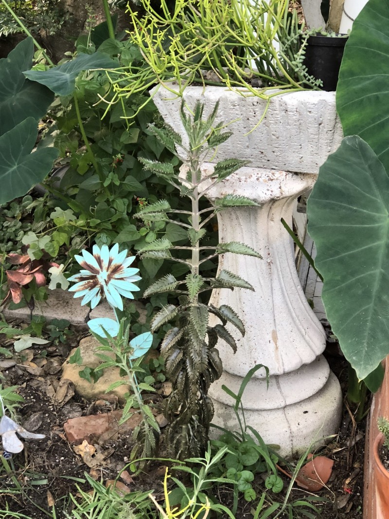 C7913695-039E-420C-82E6-AAC33F6571AC