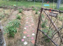 5665EE97-28BB-4E52-B734-01AA4C8A750B