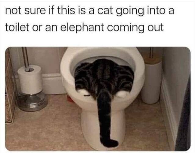 114e41e0ed975c9d47020cd07d65ca4e0612f81d_2_639x500