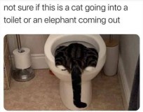 114e41e0ed975c9d47020cd07d65ca4e0612f81d_2_639x500