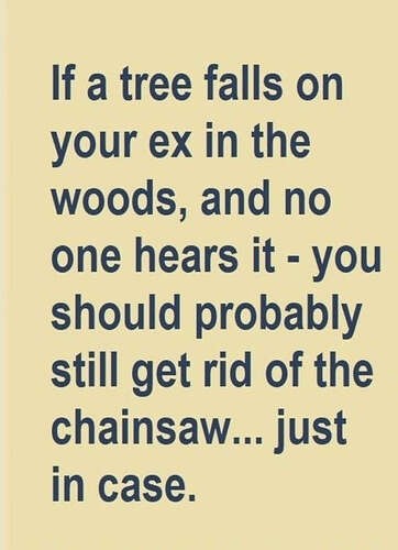 4e8c2fdfe9ae81ba600a1df5b8a1dfab8fb8813e_2_362x500