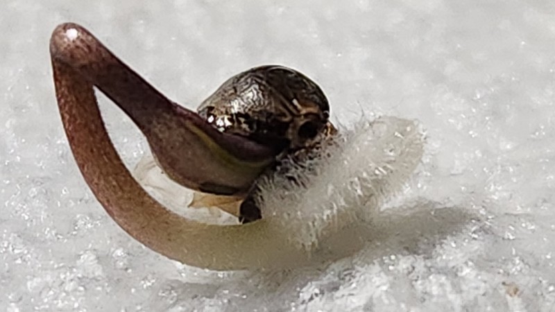 1688158045619175938463298775191