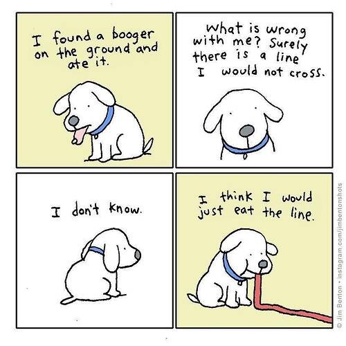 ed5526d1874e19f36bee4e53d3d2d7985bb58439_2_500x500