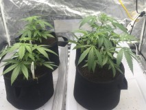 961B2856-5220-4541-B265-88313C21E7CC