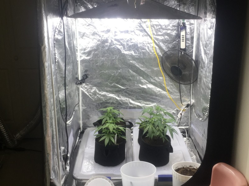 B7E26F14-E556-4760-80E2-A2B7FE0FE1C6