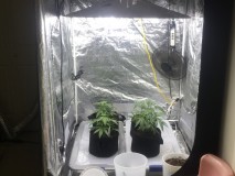 B7E26F14-E556-4760-80E2-A2B7FE0FE1C6