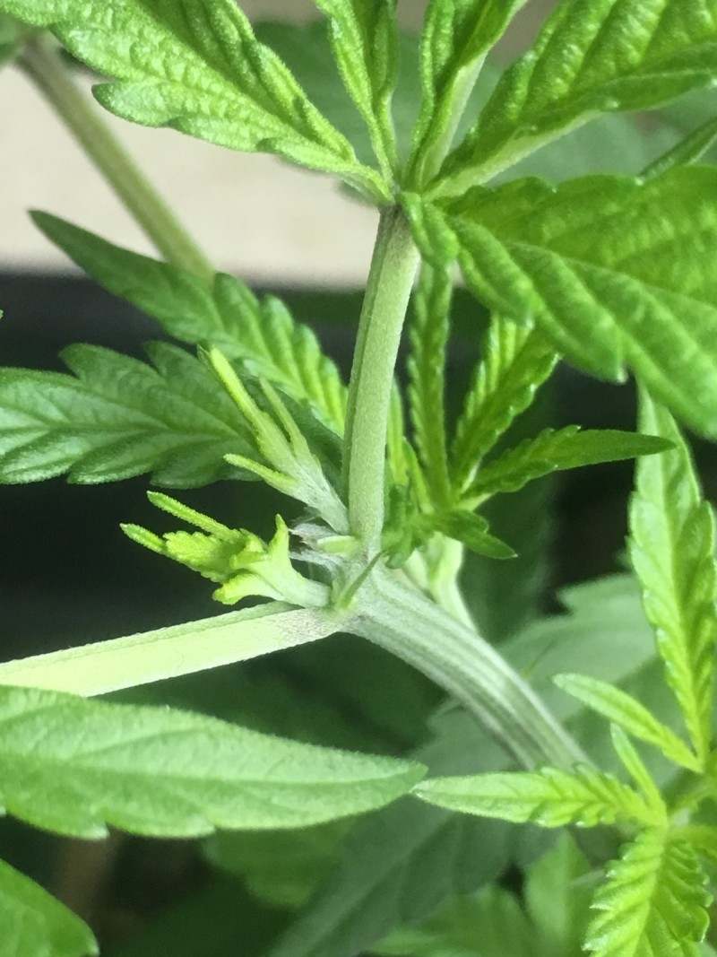 B34B38D6-7530-4BF9-AEB1-0EDCBBC1C874