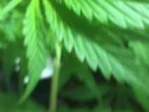 396B7E31-E1CD-44EC-A848-DAF018EF98F2